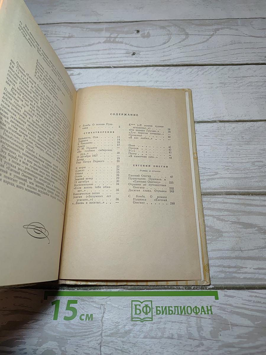 Стихотворения. Евгений Онегин