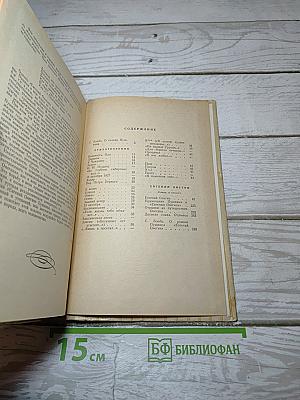 Стихотворения. Евгений Онегин