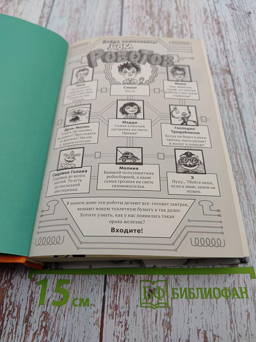 Дом Роботов