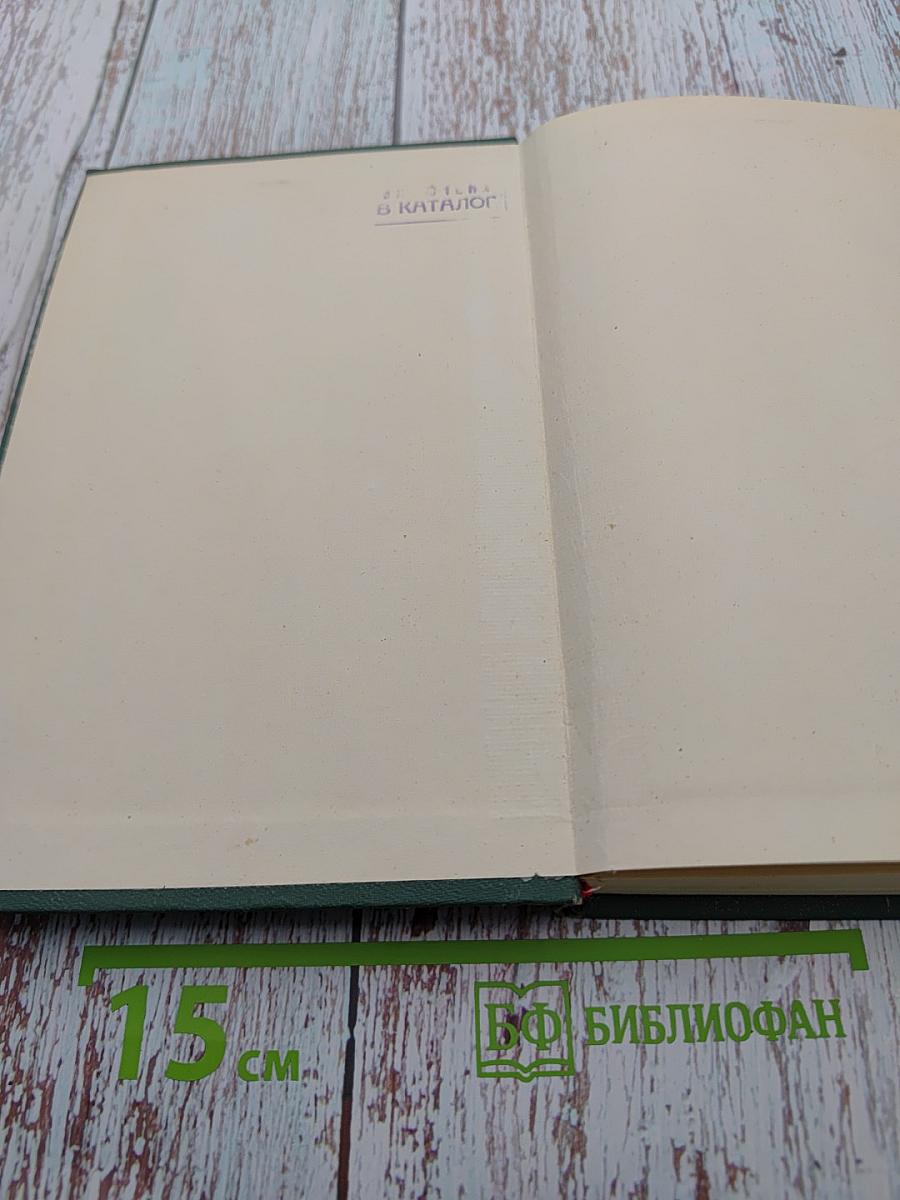 Достоевский и Белинский