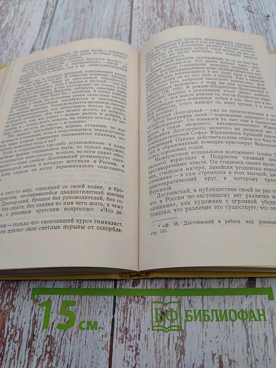 Мир Достоевского. Этюды и исследования