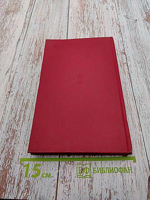 За фронтом – тоже фронт