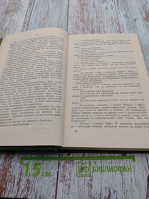 Собрание сочинений в шести томах. Том Шестой. Щит и меч. Роман. Книга вторая