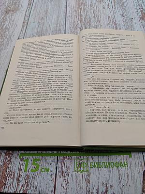 Собрание сочинений в шести томах. Том Шестой. Щит и меч. Роман. Книга вторая