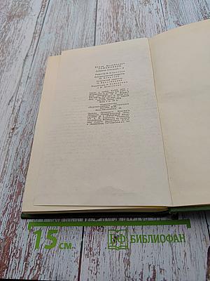 Собрание сочинений в шести томах. Том Шестой. Щит и меч. Роман. Книга вторая
