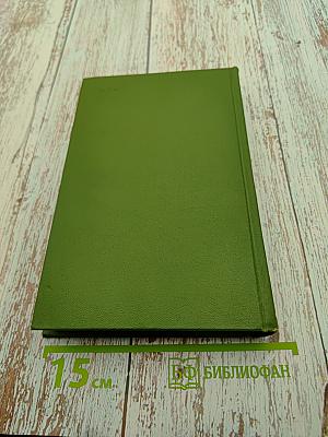 Собрание сочинений в шести томах. Том Шестой. Щит и меч. Роман. Книга вторая