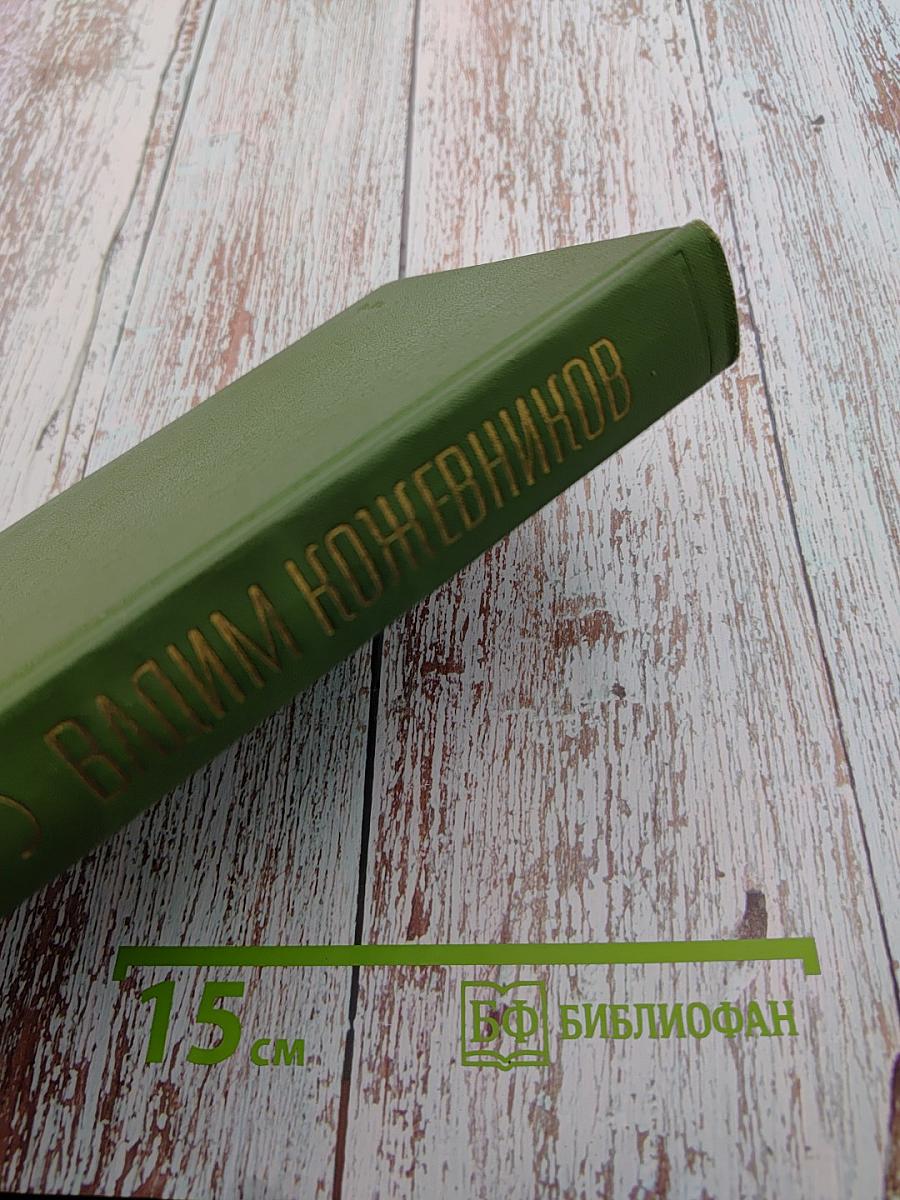 Собрание сочинений в шести томах. Том Шестой. Щит и меч. Роман. Книга вторая