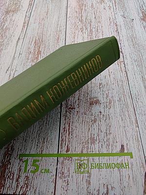 Собрание сочинений в шести томах. Том Шестой. Щит и меч. Роман. Книга вторая