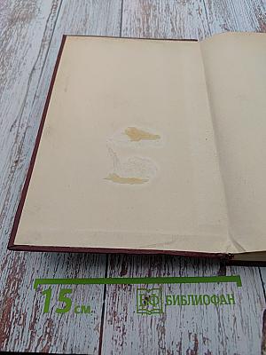 Интернационал. Очерк истории коммунистического движения 1848-1963