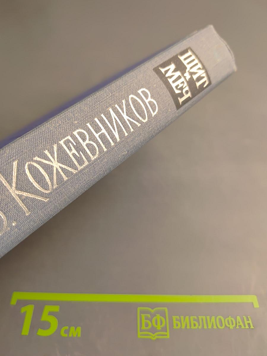 Щит и Меч. Книга вторая