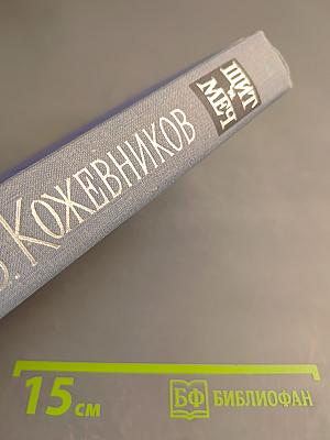 Щит и Меч. Книга вторая