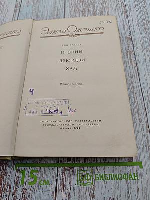 Элиза Ожешко. Том второй: Низины, Дзюрдзи, Хам