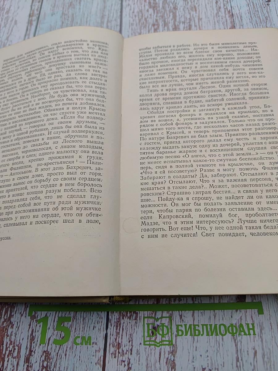 Элиза Ожешко. Том второй: Низины, Дзюрдзи, Хам