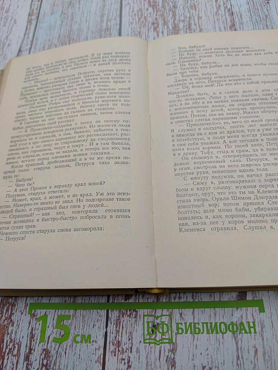 Элиза Ожешко. Том второй: Низины, Дзюрдзи, Хам