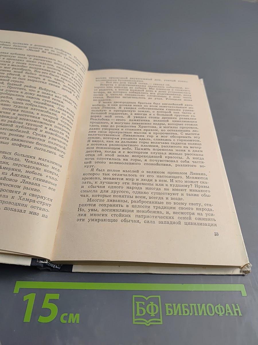 Семья Майклов в Африке