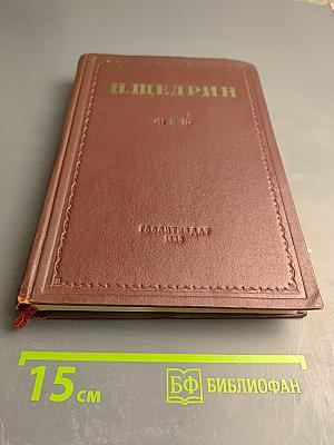 Н. Щедрин. Том II: Помпадуры и помпадурши. История одного города