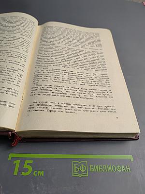 Н. Щедрин. Том II: Помпадуры и помпадурши. История одного города