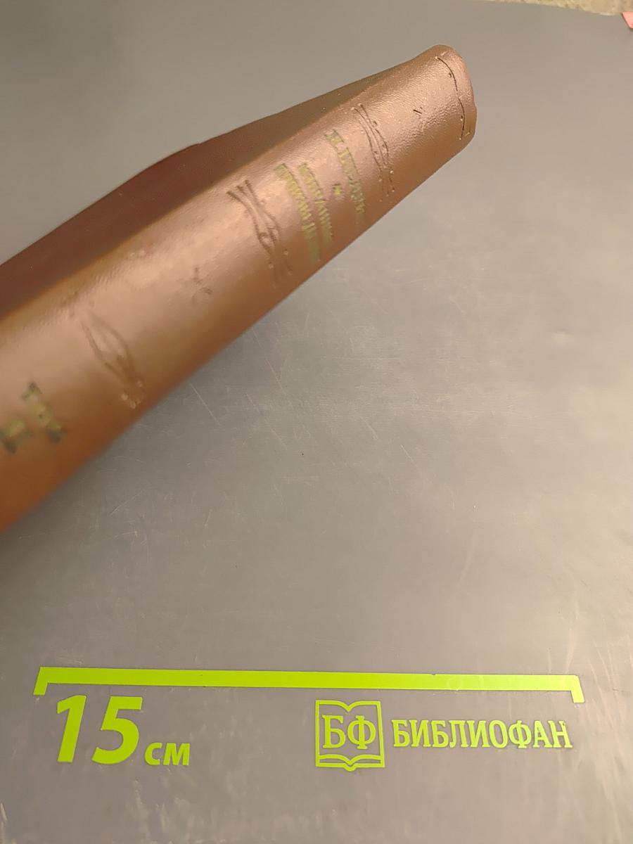 Н. Щедрин. Том II: Помпадуры и помпадурши. История одного города