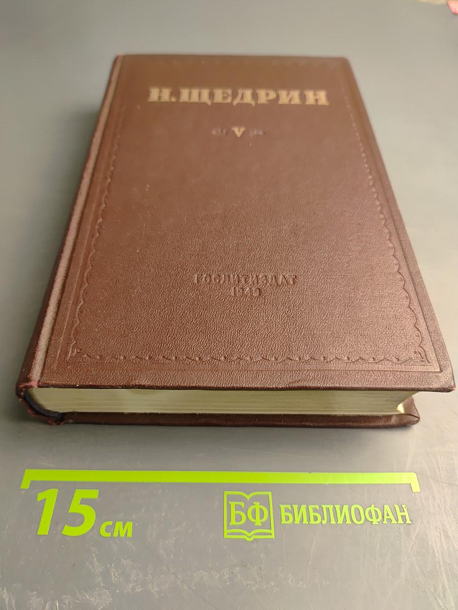 Убежище Монрепо. Современная идиллия