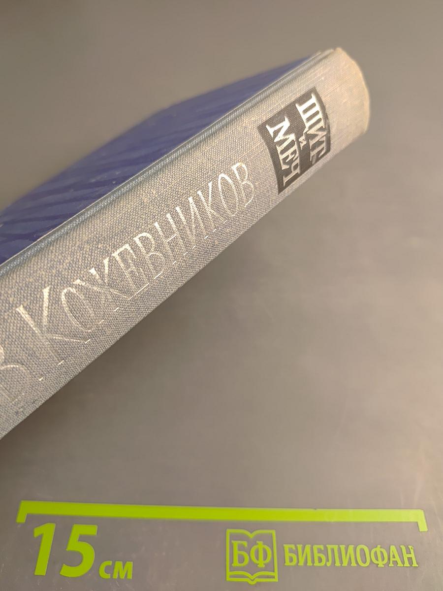 Щит и Меч. Книга вторая