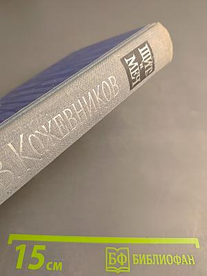 Щит и Меч. Книга вторая