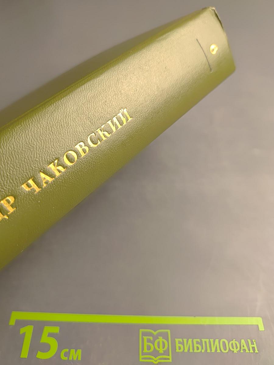 Блокада. Роман. Книга пятая