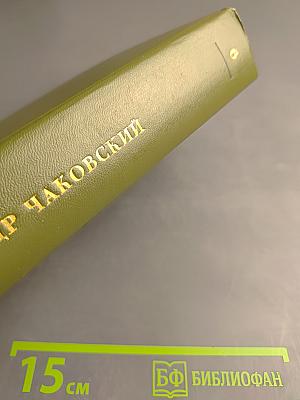 Блокада. Роман. Книга пятая