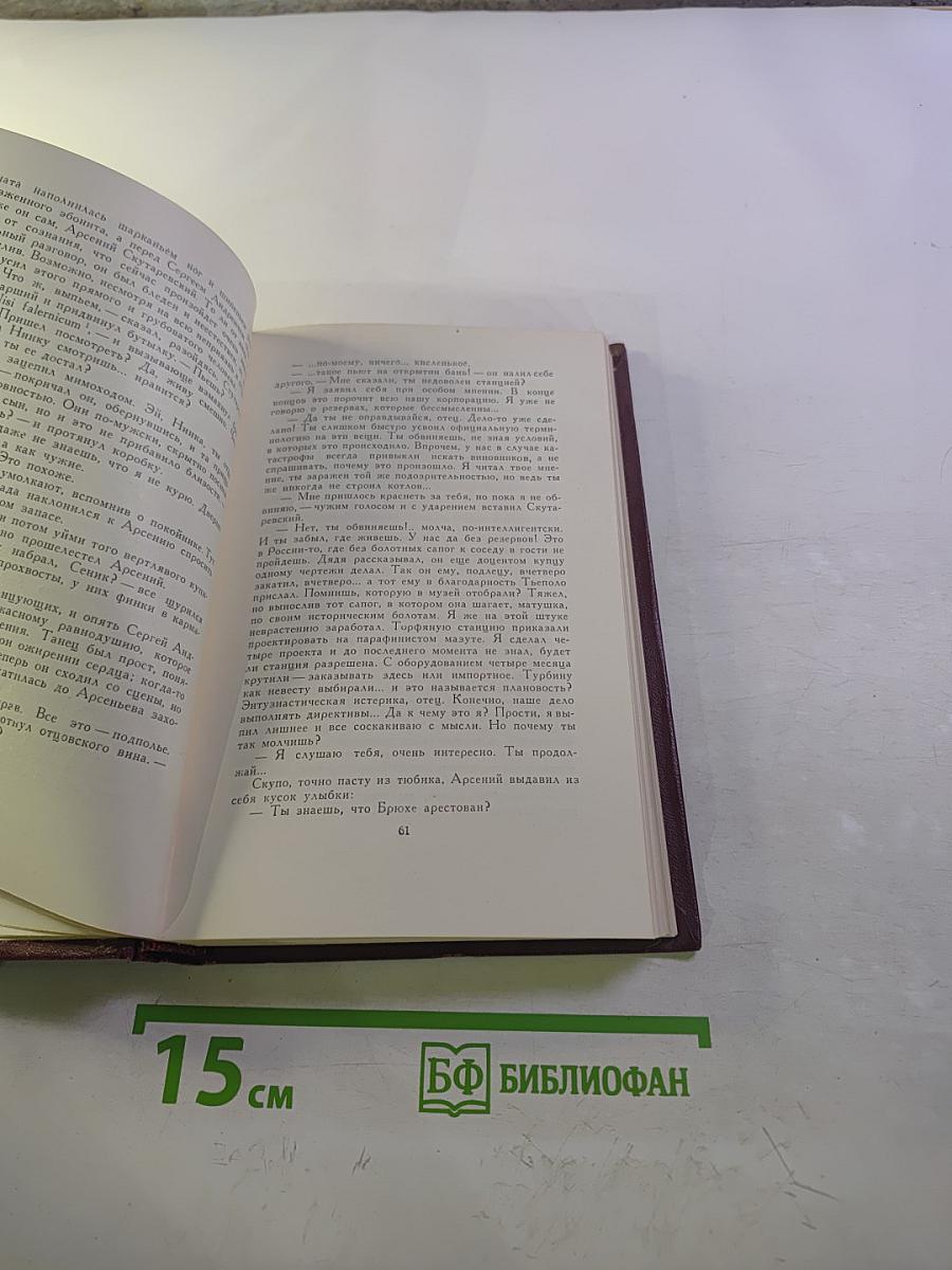 Скутаревский. Роман