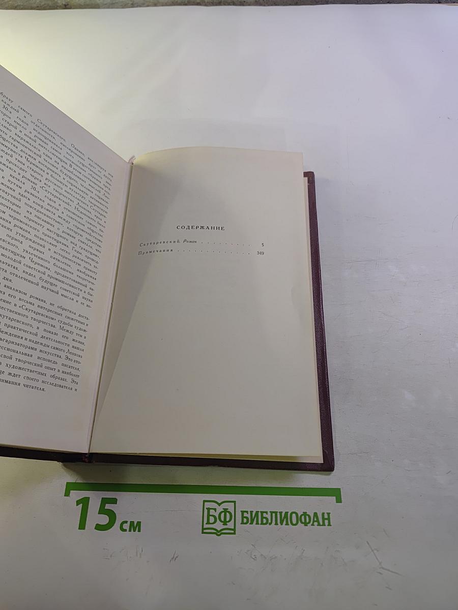 Скутаревский. Роман