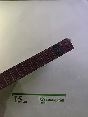 Скутаревский. Роман