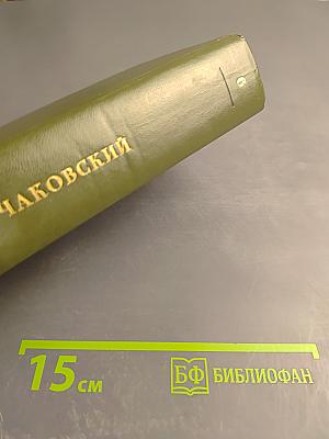 Блокада. Роман. Книга первая, часть вторая. Том 6