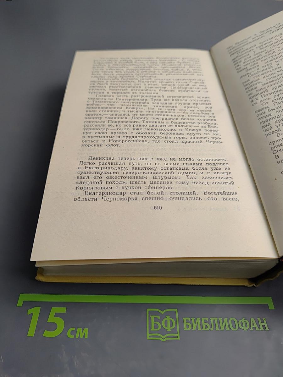 Собрание сочинений. Том десятый: Хождение по мукам. Книга вторая