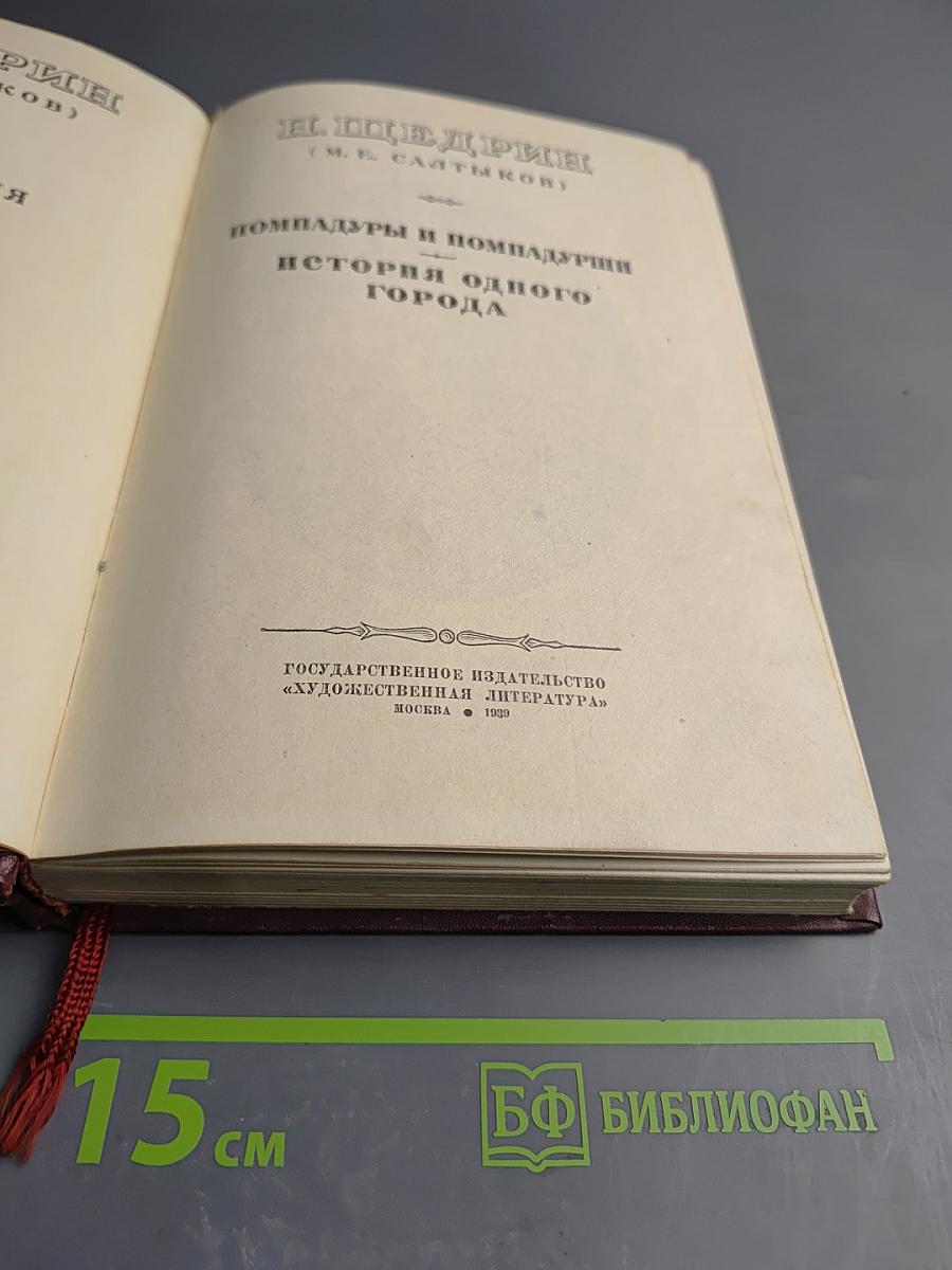 Помпадуры и помпадурши. История одного города
