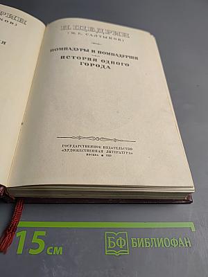 Помпадуры и помпадурши. История одного города