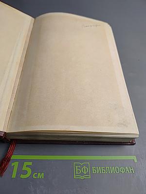 Помпадуры и помпадурши. История одного города
