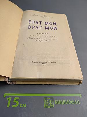 Брат мой, враг мой. Книга первая
