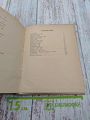 Любящий тебя В. Ульянов. Письма В. И. Ленина матери