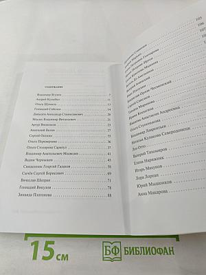 Песни 2016. Книга вторая