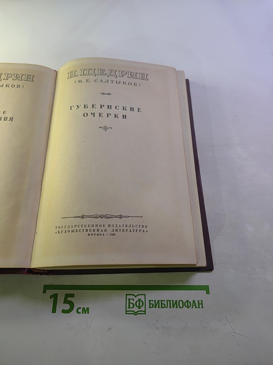 Избранные произведения. Том I: Губернские очерки