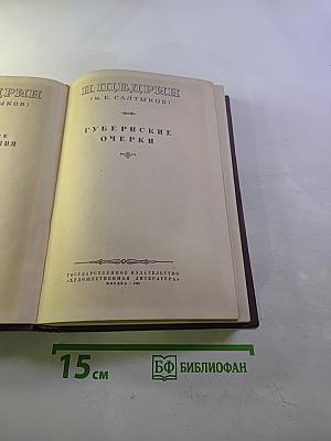Избранные произведения. Том I: Губернские очерки
