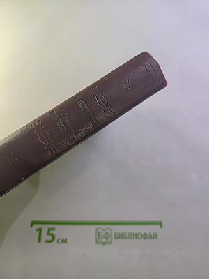 Избранные произведения. Том I: Губернские очерки