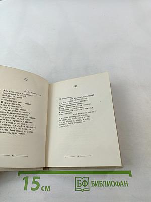 Вечернее поле