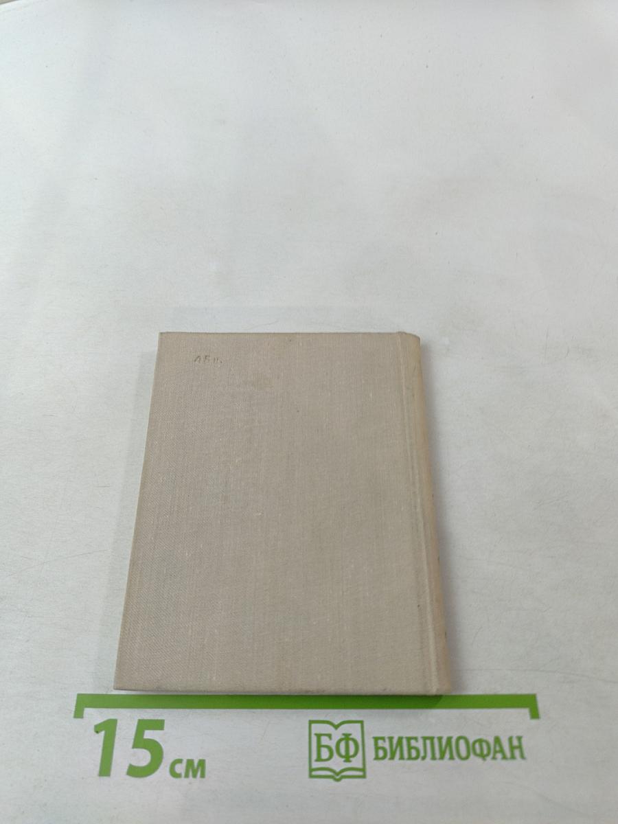 Вечернее поле