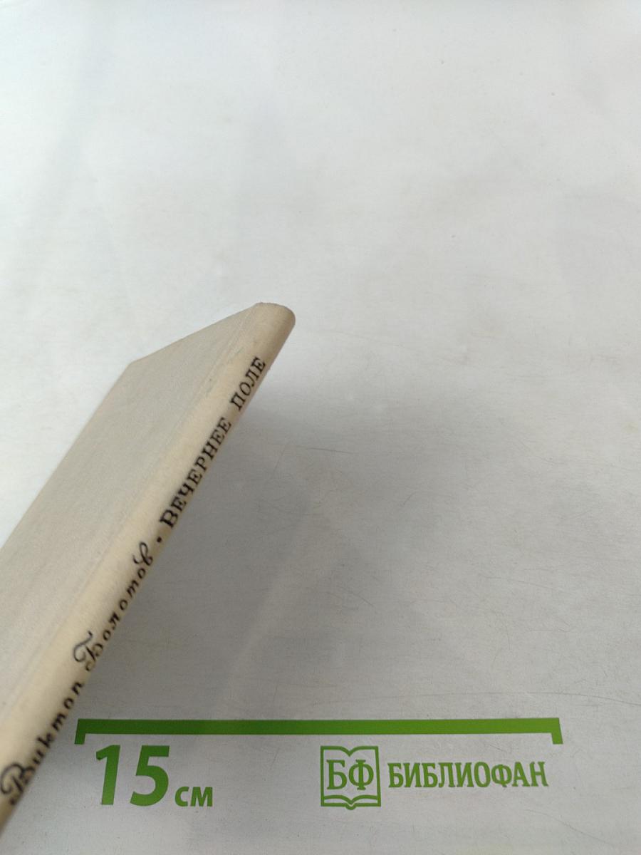 Вечернее поле