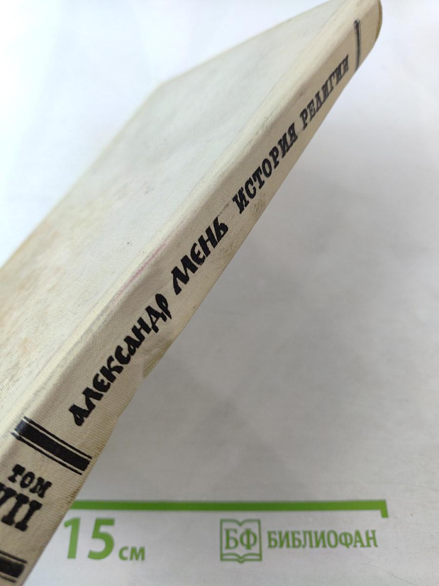 История религии в поисках пути, истины и жизни Том VII Сын Человеческий