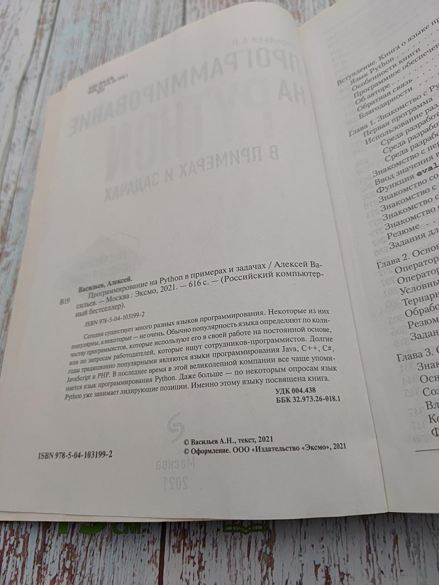 Программирование на Python в примерах и задачах