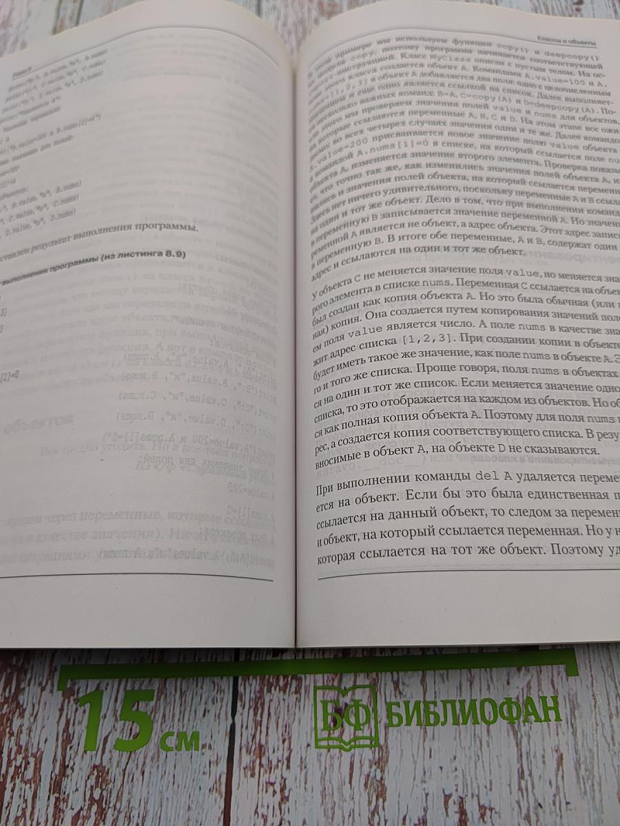 Программирование на Python в примерах и задачах