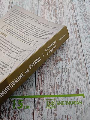 Программирование на Python в примерах и задачах