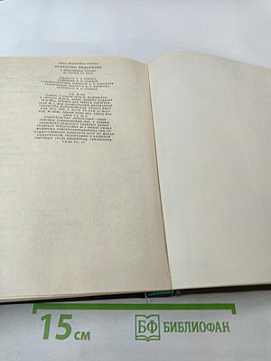 Искусство Индонезии. С древнейших времен до конца XV века