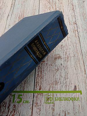 Избранные произведения. Том первый. Три цвета времени